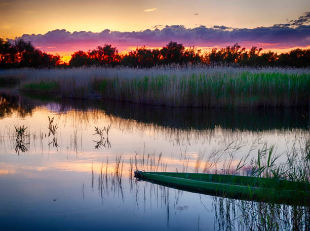 Green fishing boat, sunk in the waters of Las Tablas de Daimiel National Park
