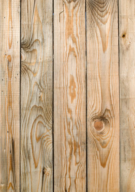 istock New wooden wall closeup in sunny day 1287637872