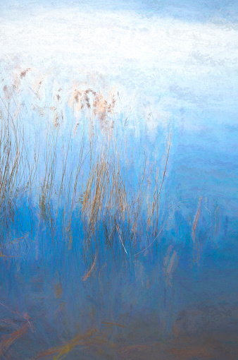 Toned image of reeds on a river bank for use as a textured background. Image taken at Fen Drayton wetland nature reserve, Cambridgeshire.