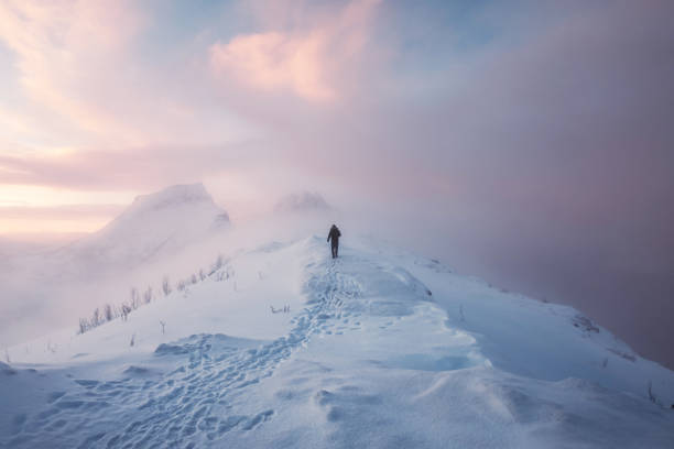 Man mountaineer walking with footprint on snowy mountain and colorful sky in blizzard at sunrise Man mountaineer walking with footprint on snowy mountain and colorful sky in blizzard at sunrise. Senja island, Norway senja island photos stock pictures, royalty-free photos & images