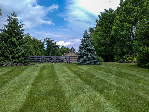 A freshly mown lawn with a barn in the background.