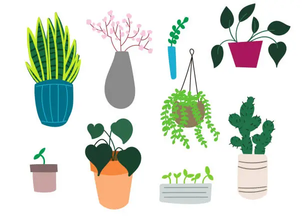 Vector illustration of Houseplants