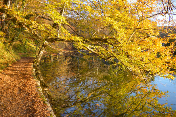 istock Autumn scenery at Plitvice Lakes National Park. Walkway under trees, reflection in water 1287642958