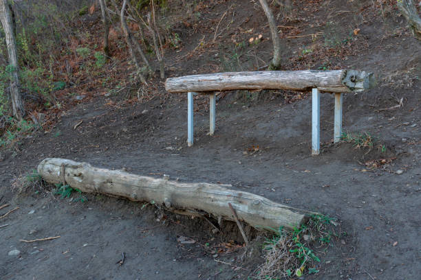 istock Wooden bench for relaxing in the forest 1287643142