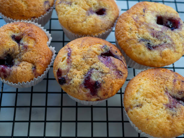 istock Home made blueberry muffins 1287644957
