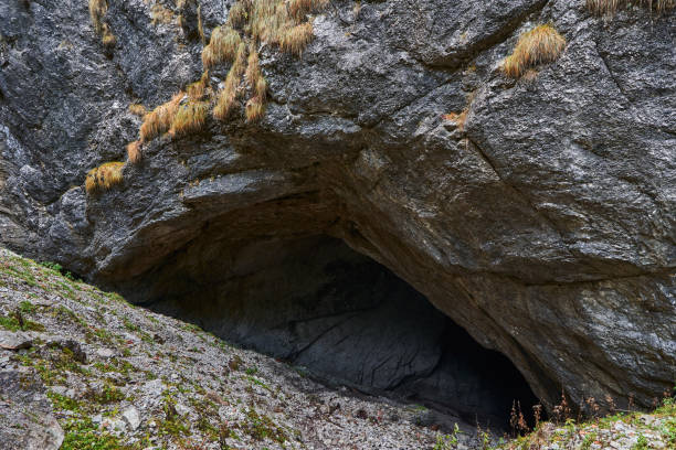 istock Entrance of a big cave 1287646214