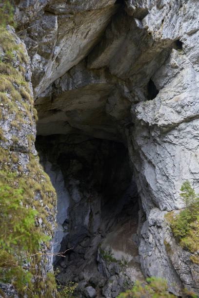 istock Entrance of a big cave 1287646215