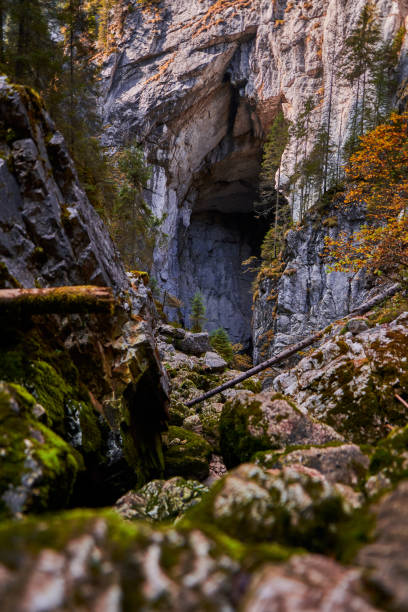 istock Entrance of a big cave 1287646243