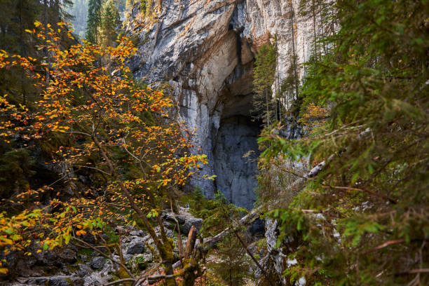 istock Entrance of a big cave 1287646246