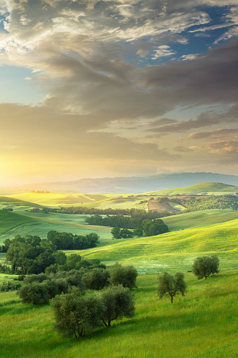 Scenery in Val d'Orcia, Tuscany, Italy