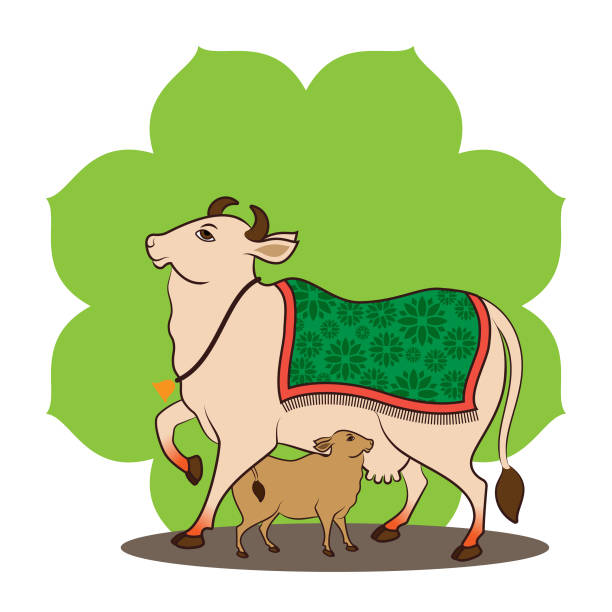 ilustrações de stock, clip art, desenhos animados e ícones de kamdhenu painted in pichwai style,  indian art form of miniature painting, vector graphic of gomata, cow with calf traditionally worshiped on the occasion vasubaras aka govatsa dwadashi in deepavali. - indian god