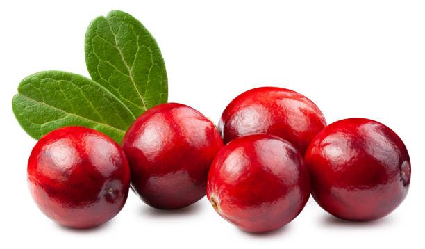 istock Cranberries with leaves isolated on white 1287651863
