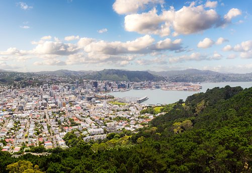 A daytime view over New Zealand's capital city, Wellington.