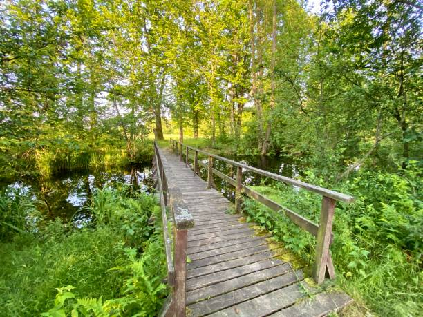 istock a wild river flowing through the Lublin region 1287655076