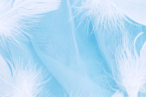 istock Frame of white feathers on the blue background of fabric. Creative background. Copy space, selective focus with shallow depth of field 1287657241