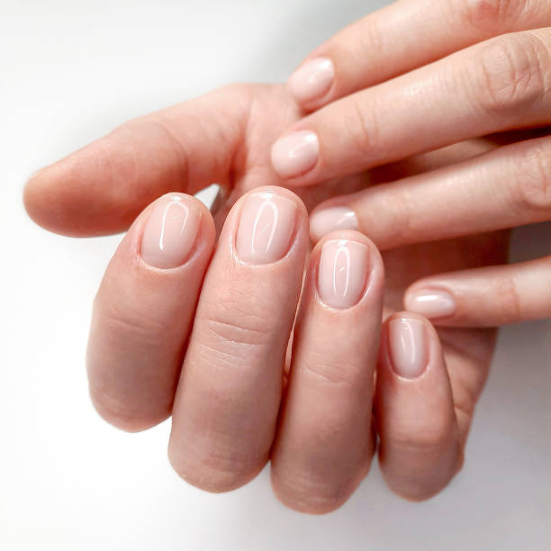 istock Classic camouflage manicure. Short round nails with transparent gel polish. 1287657301