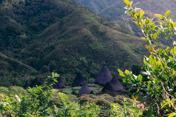 istock The Waerebo village 1287657870