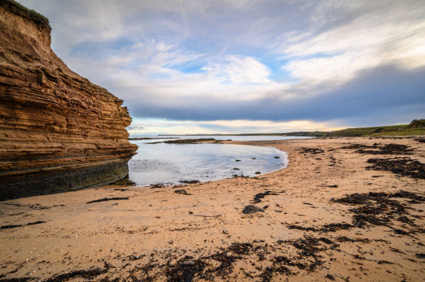 istock Sandy Cove at Howick Haven 1287661258