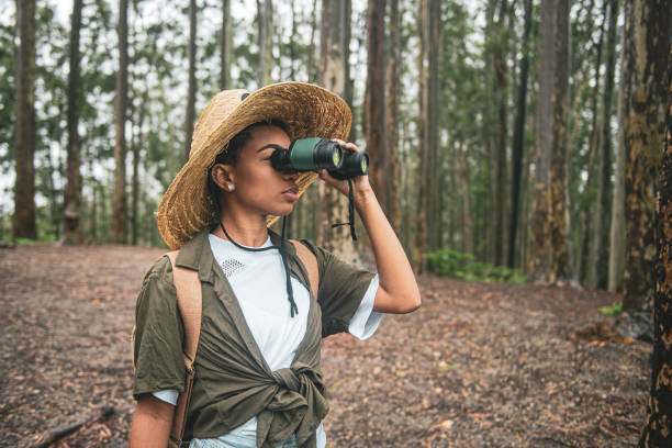 Woman using binoculars in the woods stock photo
