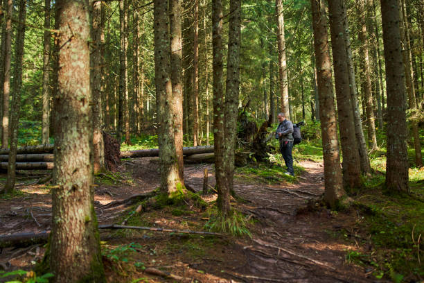 istock Professional nature photographer hiking 1287667552