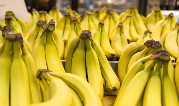 istock Ripe bananas at farmer market. 1287668909