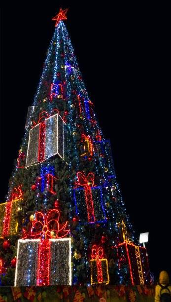 istock Outdoor Christmas Tree night 1287669242