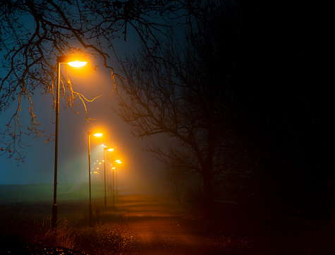 footpath in park area with lamp posts in foggy autumn evening with bare trees