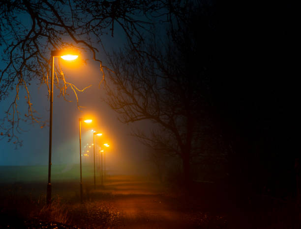 lamp posts in foggy autumn evening with bare trees stock photo