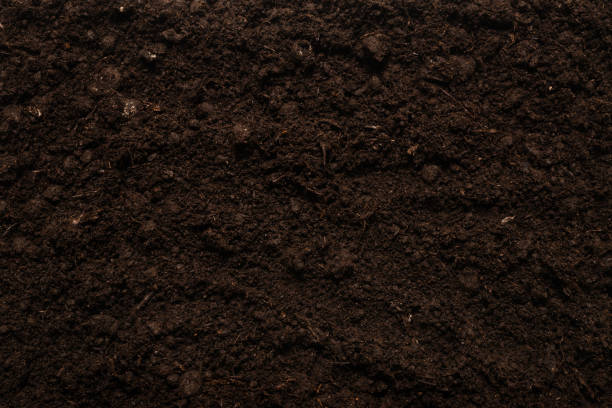 istock Black land for plant background. 1287669788