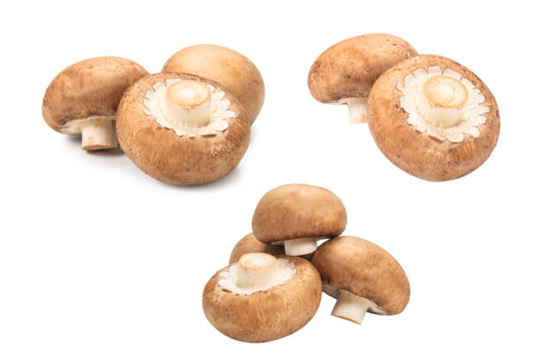 istock Tasty mushroom isolated on white background. 1287669858
