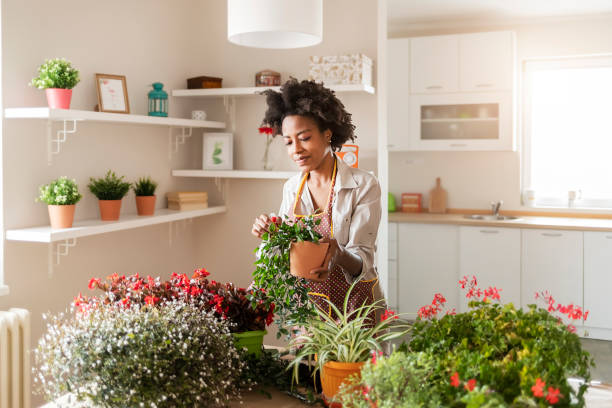 istock The more plants you have, the better 1287670948