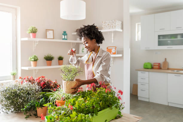 istock Mini green paradise in my home 1287671008