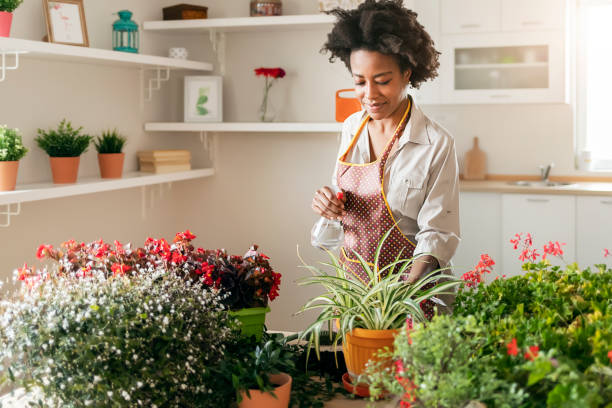 istock Home is the comfiest place in the world 1287671046