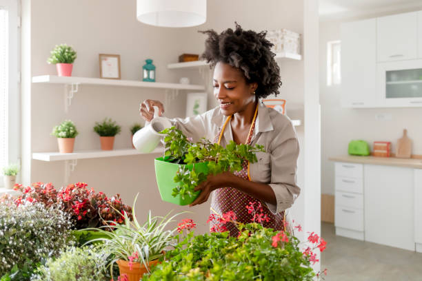 istock Home is the comfiest place in the world 1287671185