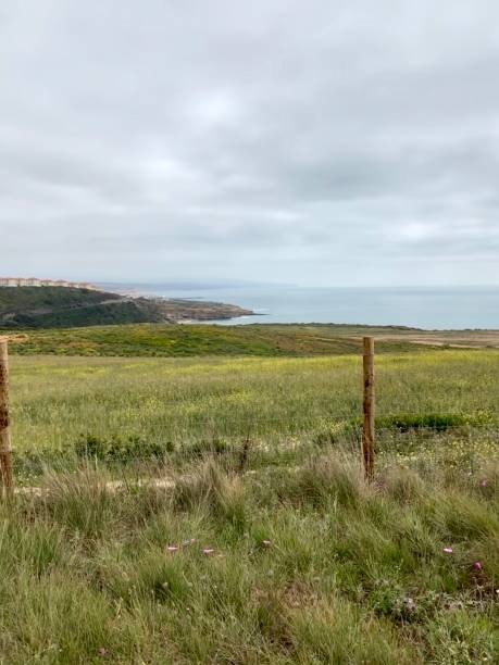 istock Green coastline in Ericeira 1287672426