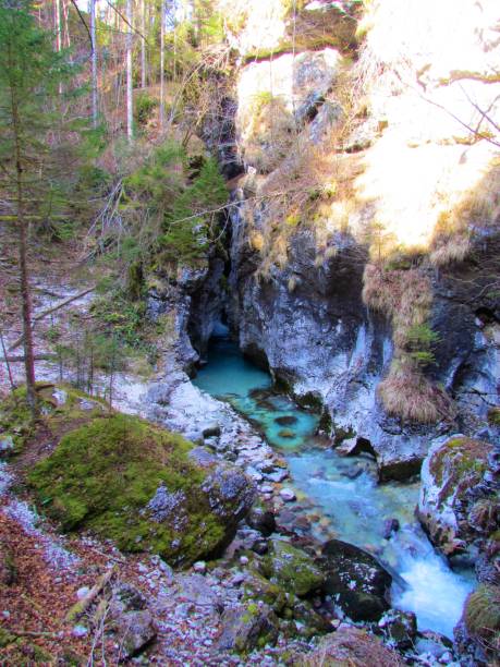 istock Kamniska Bistrica river 1287674635