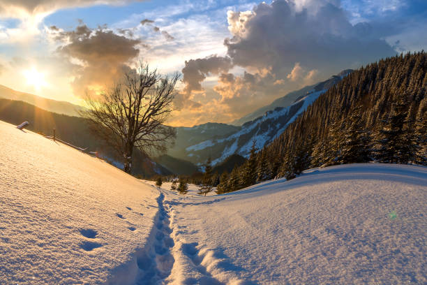 istock Human footprint track path in white deep snow through empty field with woody dark mountain range and soft glow on horizon at sunset. 1287674734
