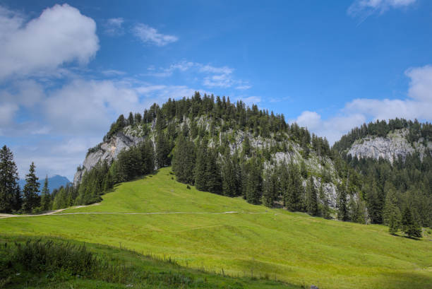 istock Alpine meadow with forest and rock face 1287676412