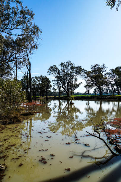 istock Lower Moira, Victoria, Australia 1287676449
