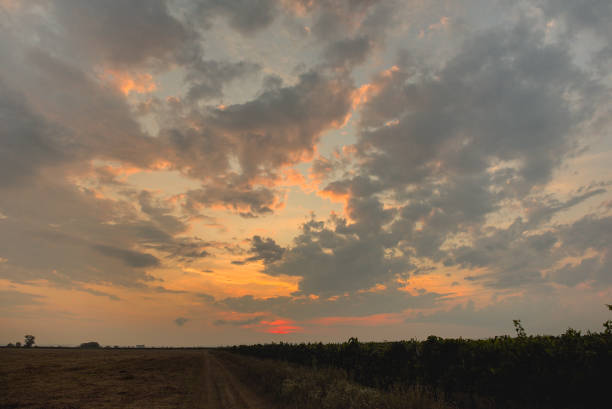 istock burning clouds of a sunset 1287677284