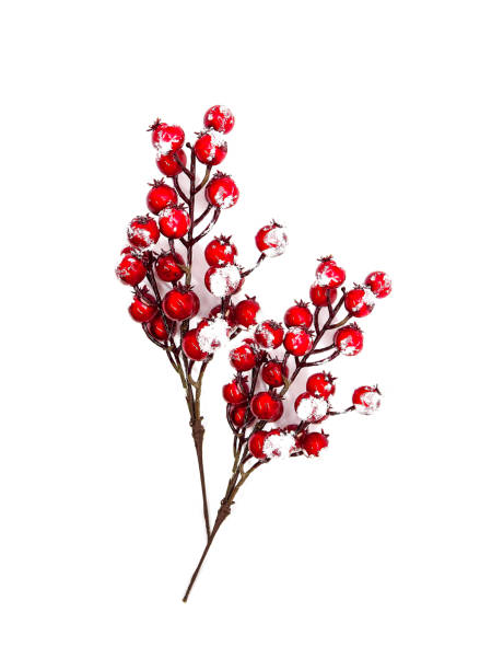istock Decorative Christmas or New Year composition. Red berries. 1287677749