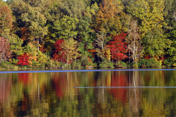 istock Carroll Lake in full fall flowers 1287677820