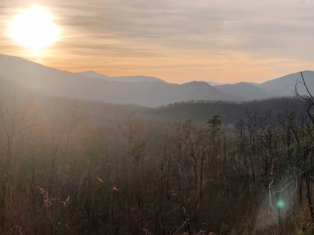 vue de montagne d’automne dans gatlinburg, tennessee au lever du soleil - great smoky mountains flash photos et images de collection