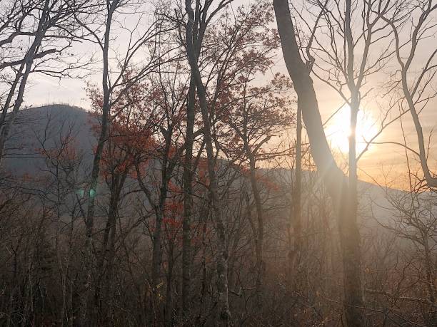 vue de montagne d’automne dans gatlinburg, tennessee au lever du soleil - great smoky mountains flash photos et images de collection