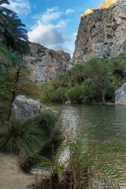 Photo of Gorgeous palm tree glade, Preveli beach (aka., Palm Beach), Southern Crete, Greece. Located at the mouuth of the Megas river, Kourtaliotiko gorge.