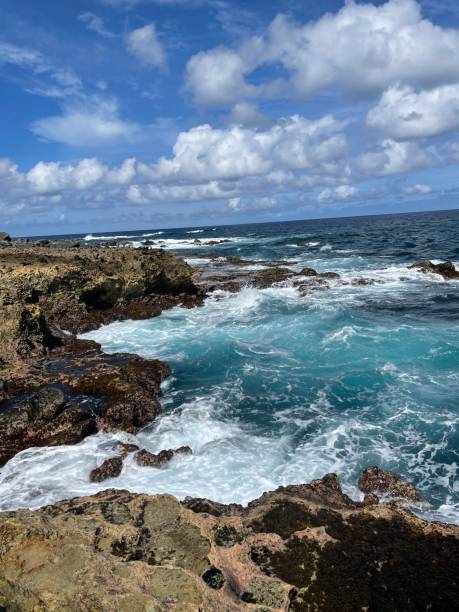 istock Waterfronts of Aruba 1287678889