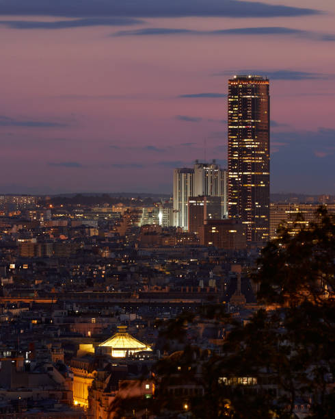Paris with red sky viewed from Montmartre