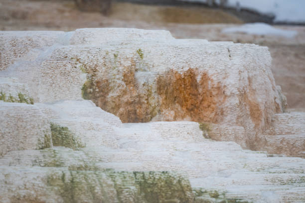 Massive springs of hot water in northern Yellowstone