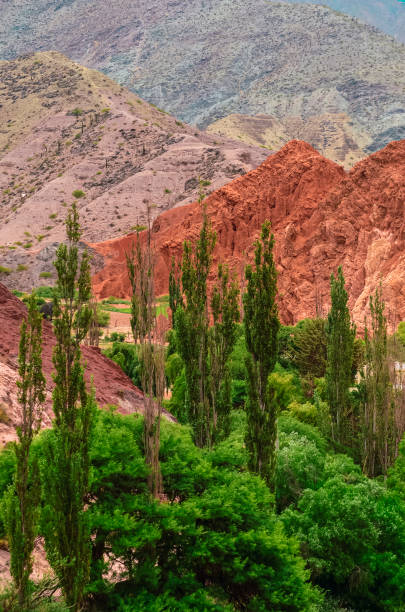 istock Colored landscape in Purmamarca, Jujuy Argentina 1287685455