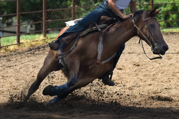 istock Galloping to the Finish Line 1287687230